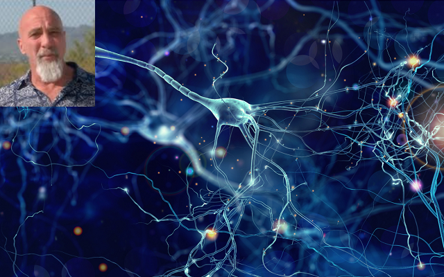 neurons in blue